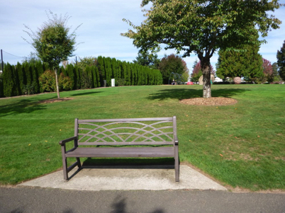 Bench off paved trail – on pavement